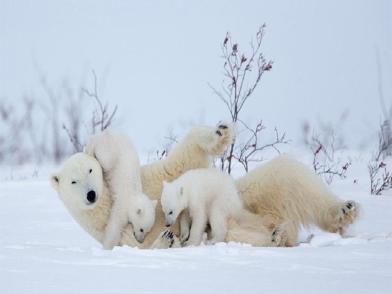 贵阳代怀最好医院,泰国试管价格高吗？-贵阳有没有供卵机构_贵阳供卵试管医院