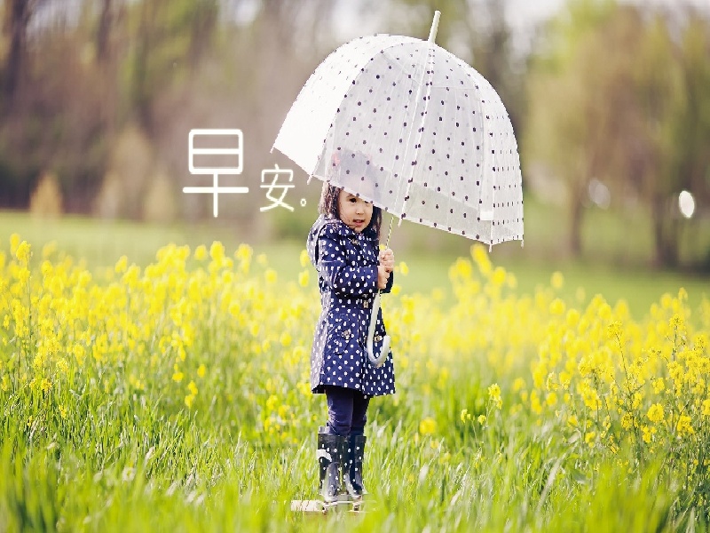 大龄试管小七（试管孕酮低成功）