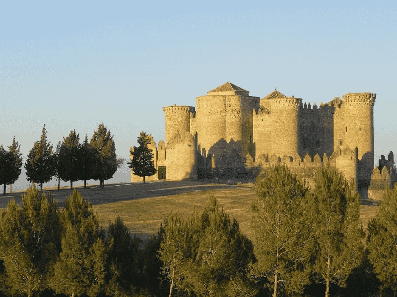 贵阳哪可以代怀,贵阳蚂蚁试管喂食器（铁夹夹在试管上）