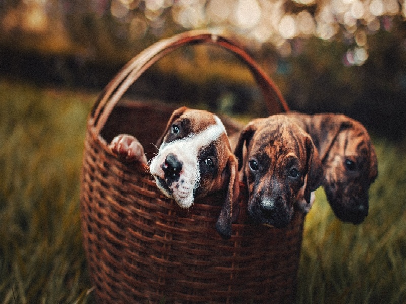 贵阳最靠谱的代生,代生咨询：在贵阳公立医院可